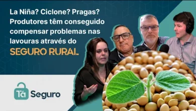Projeto de norma propõe agarrado de fatalidade para remunerar R$ 15 milénio senda Pix a desabrigado
