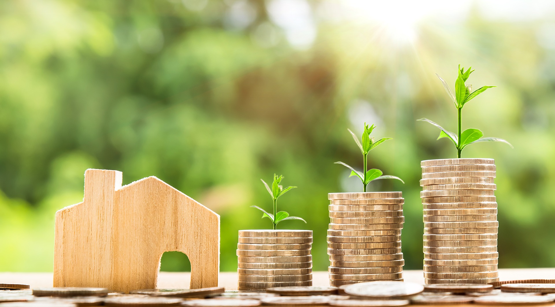 CMN atualiza regras de cooperativas de confiança e regulamenta projetos sustentáveis