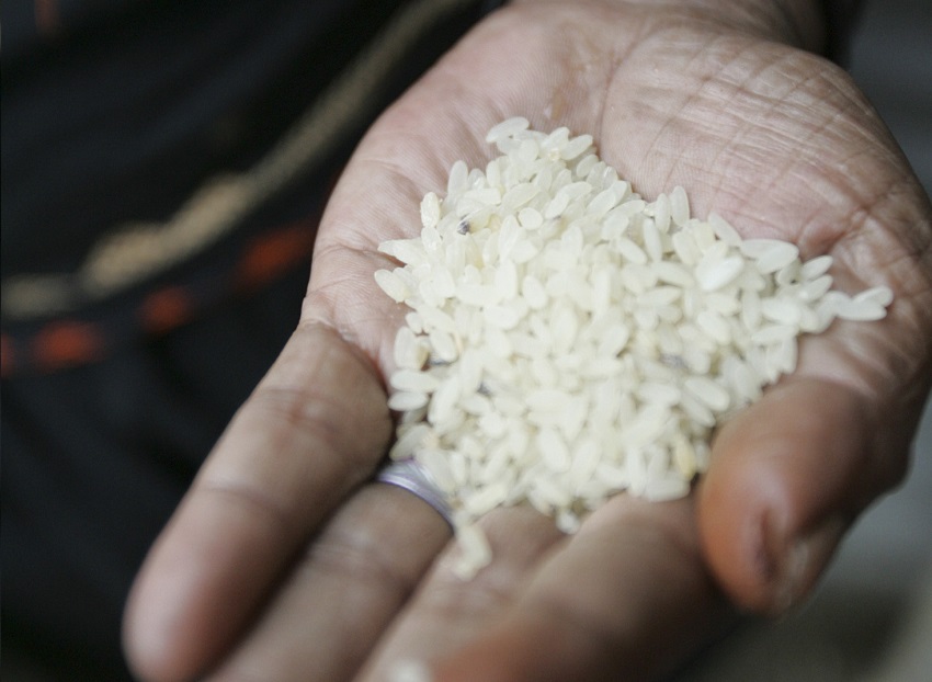 Efeito de enchentes no RS já aparece nos preços do leite, arroz e batata