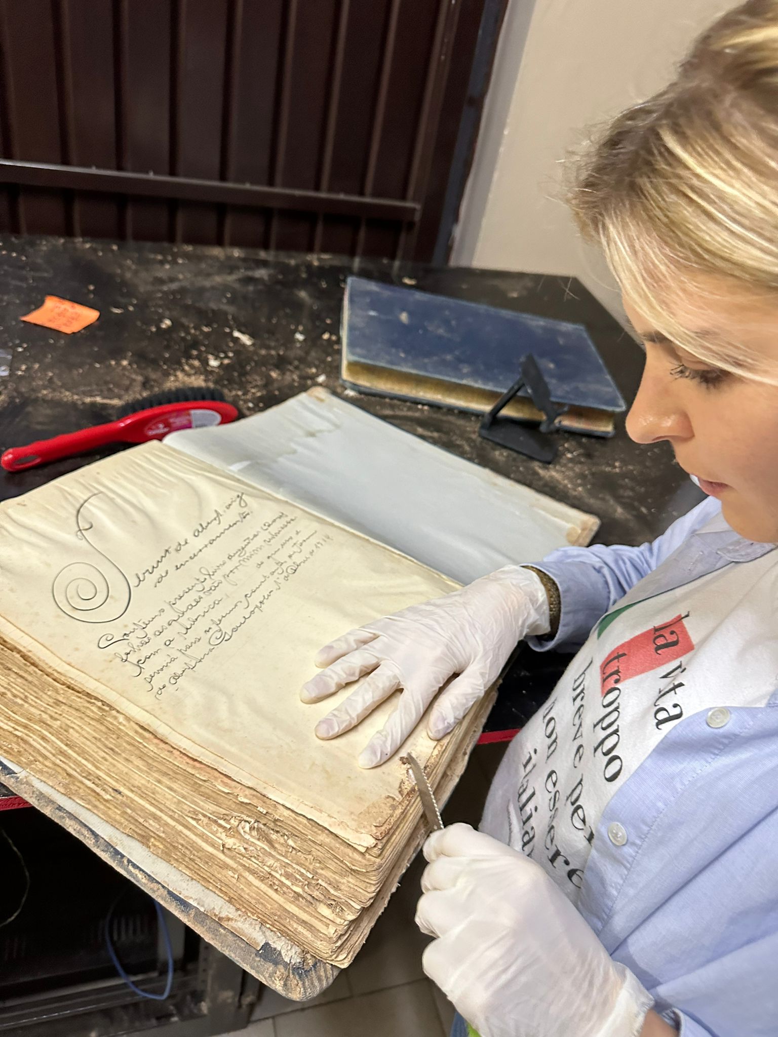 Genealogista resgata e seca papéis históricos que documentam a imigração no RS
