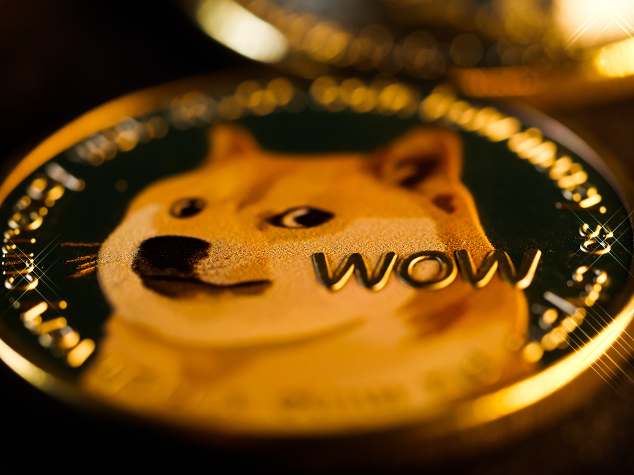 Cachorrinha que insipirou meme da Dogecoin morre no Japão