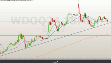 Minidólar (WDOQ24) pode seguir em baixa se romper os 5.623 pontos